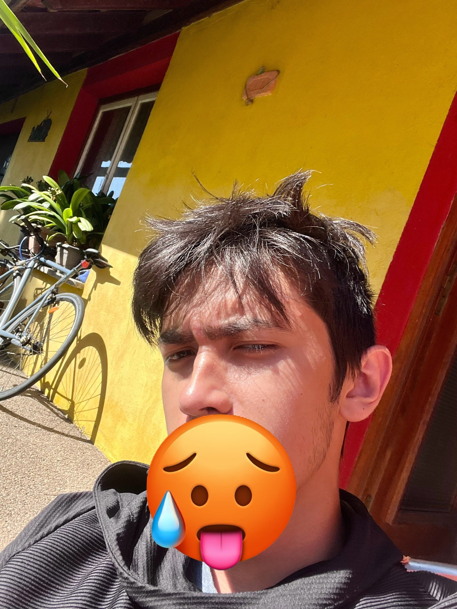 Jilani - Muñico - Ávila | Contactos
